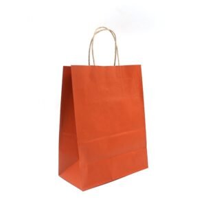 Orange Stripe Paper Bags twisted handle