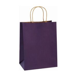 Purple Stripe Paper Bags twisted handle