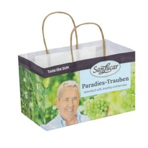 Wet-Strength Paper Bag custom printed braned logo