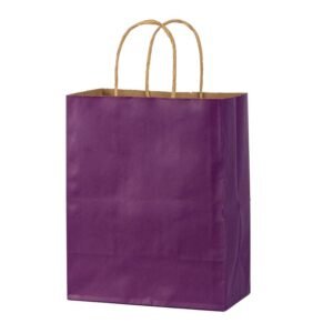 Purple twisted Handle Bags